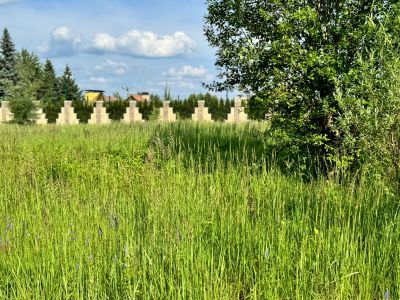 photo 6704fff8962a5_thumb.jpg