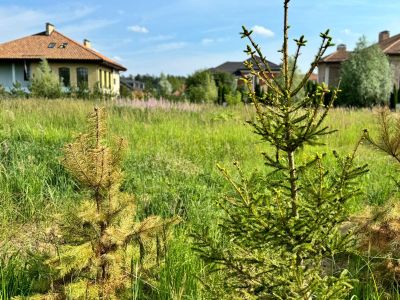 photo 6704fff998c5b_thumb.jpg