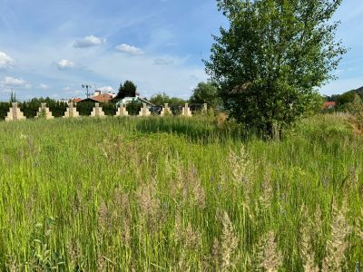 photo 6704fffa83233_thumb.jpg