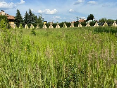 photo 6704fffb6fb7f_thumb.jpg