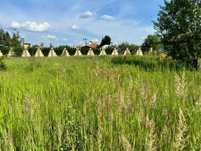 photo 6704fffc5af00_thumb.jpg