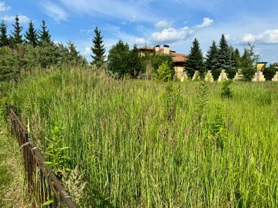 photo 6704fffd47ac1_thumb.jpg