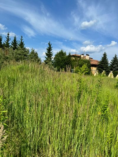 photo 6704fffe37b88_thumb.jpg