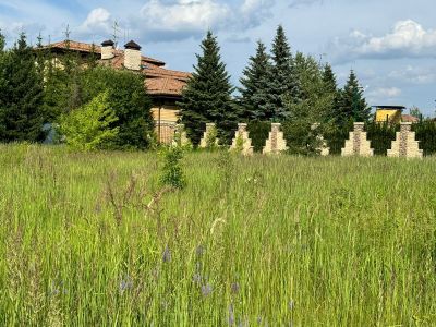 photo 67050002011c3_thumb.jpg