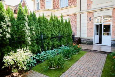 photo 66d994b40a7e6_thumb.jpg