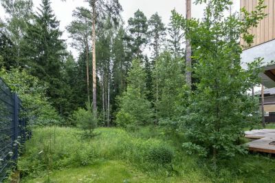 photo 66e409cf0d377_thumb.jpg