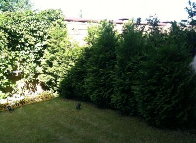 photo 66ec17db174ec_thumb.jpg