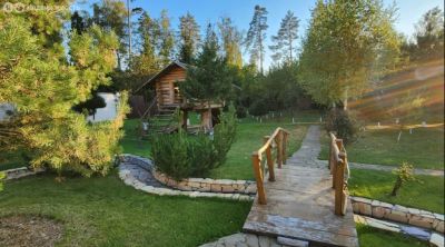 photo 67b46902675a5_thumb.jpg