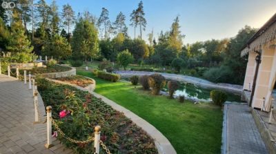 photo 67b46902da371_thumb.jpg