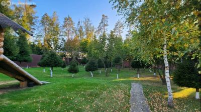 photo 67b46903760cd_thumb.jpg