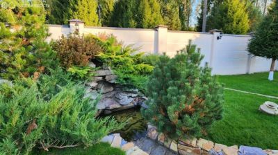 photo 67b4690513dbf_thumb.jpg