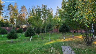 photo 67b4690585925_thumb.jpg