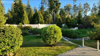 photo 67b4690682a9f_thumb.jpg