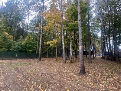 photo 66fff2988b875_thumb.jpg