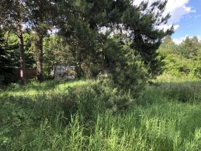 photo 67121f45c6da3_thumb.jpg