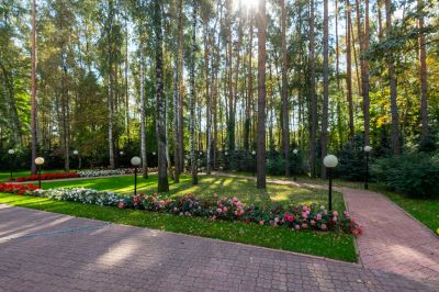 photo 671a3cb1a5bc3_thumb.jpg