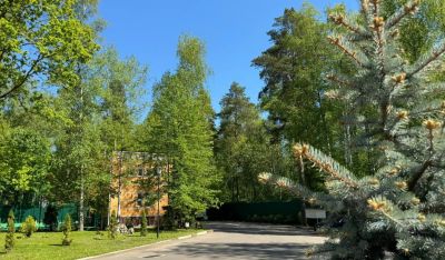 photo 6728bf5ed81a4_thumb.jpg