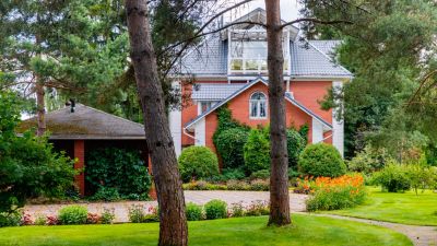 photo 672b3e08a8f15_thumb.jpg