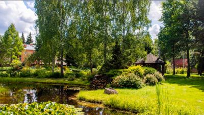 photo 672b3e0c3650e_thumb.jpg