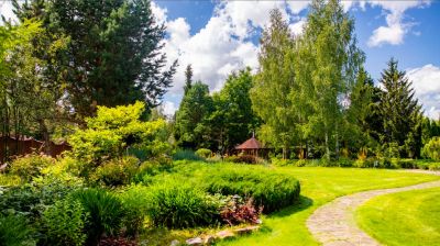 photo 672b3e0dd63b3_thumb.jpg