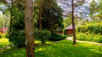 photo 672b3e0f599a3_thumb.jpg