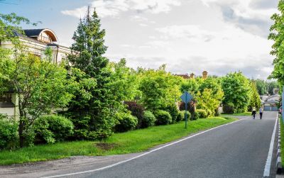 photo 672df43191e08_thumb.jpg