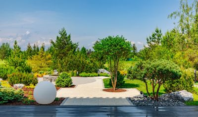 photo 693be1ee0e7cd_thumb.jpg