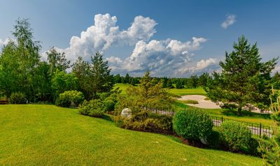 photo 693be1eecda8a_thumb.jpg