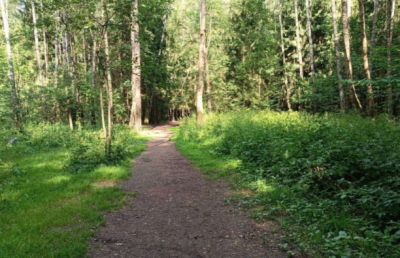 photo 67346fe84dac9_thumb.jpg