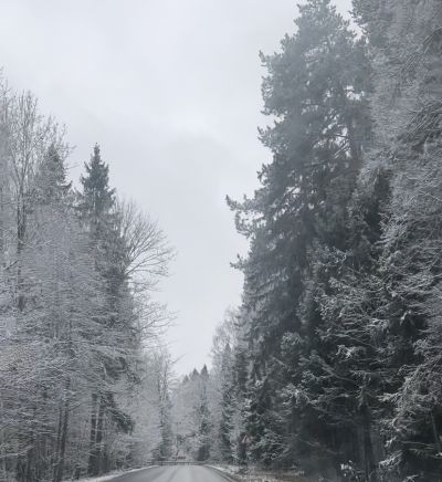 photo 673731760bc9e_thumb.jpg