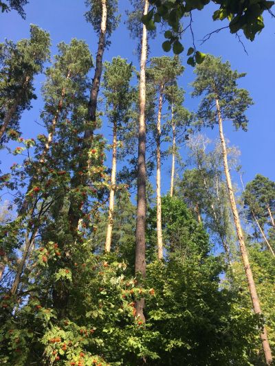 photo 67a0d31b3a8d2_thumb.jpg