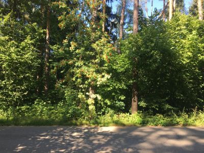 photo 67a0d31c38889_thumb.jpg