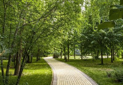 photo 6852843e21362_thumb.jpg