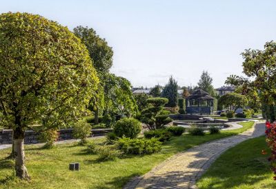 photo 6852843f57549_thumb.jpg