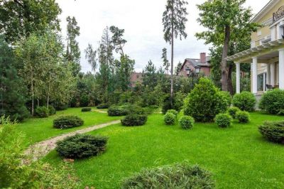 photo 673b0de5074ca_thumb.jpg