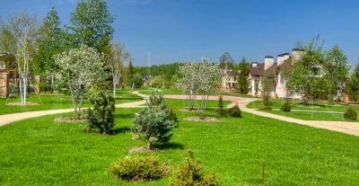 photo 11795_64fb1f6530aec_thumb.jpg