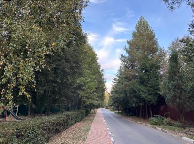 photo 67405bc8d060f_thumb.jpg