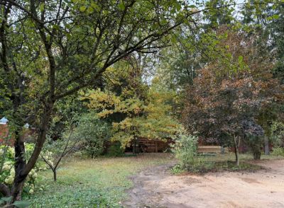 photo 67405bc946feb_thumb.jpg