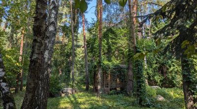 photo 6741d3d1819c3_thumb.jpg