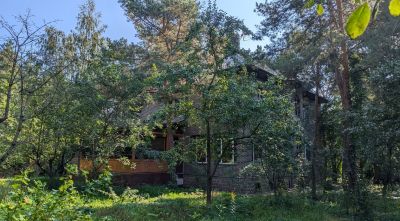 photo 6741d3d237ed6_thumb.jpg