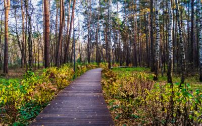 photo 6741d3d567830_thumb.jpg