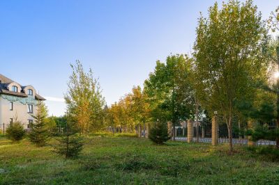 photo 6748698df379e_thumb.jpg