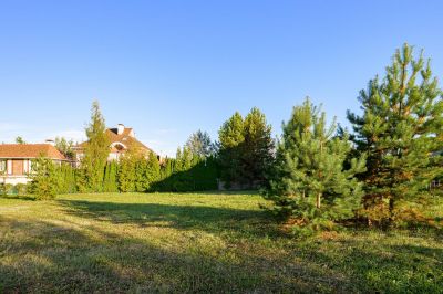 photo 67486990ae16e_thumb.jpg