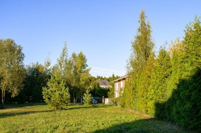 photo 67486991d8bc0_thumb.jpg