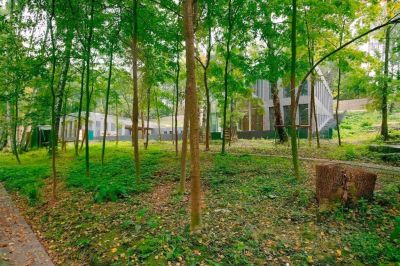 photo 6749c8bbc767b_thumb.jpg