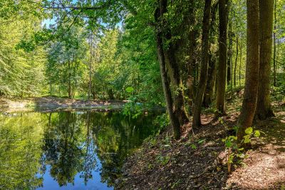 photo 6749b2a93bf6e_thumb.jpg