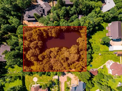 photo 6749b2aa35f90_thumb.jpg