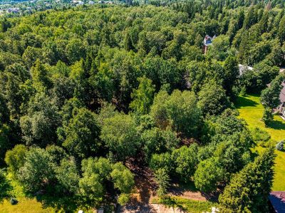 photo 6749b2ab7cca6_thumb.jpg