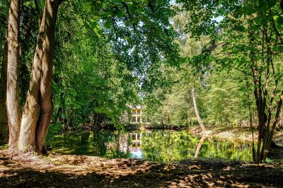 photo 6749b2ace3d10_thumb.jpg