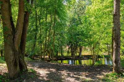 photo 6749b2aee5868_thumb.jpg